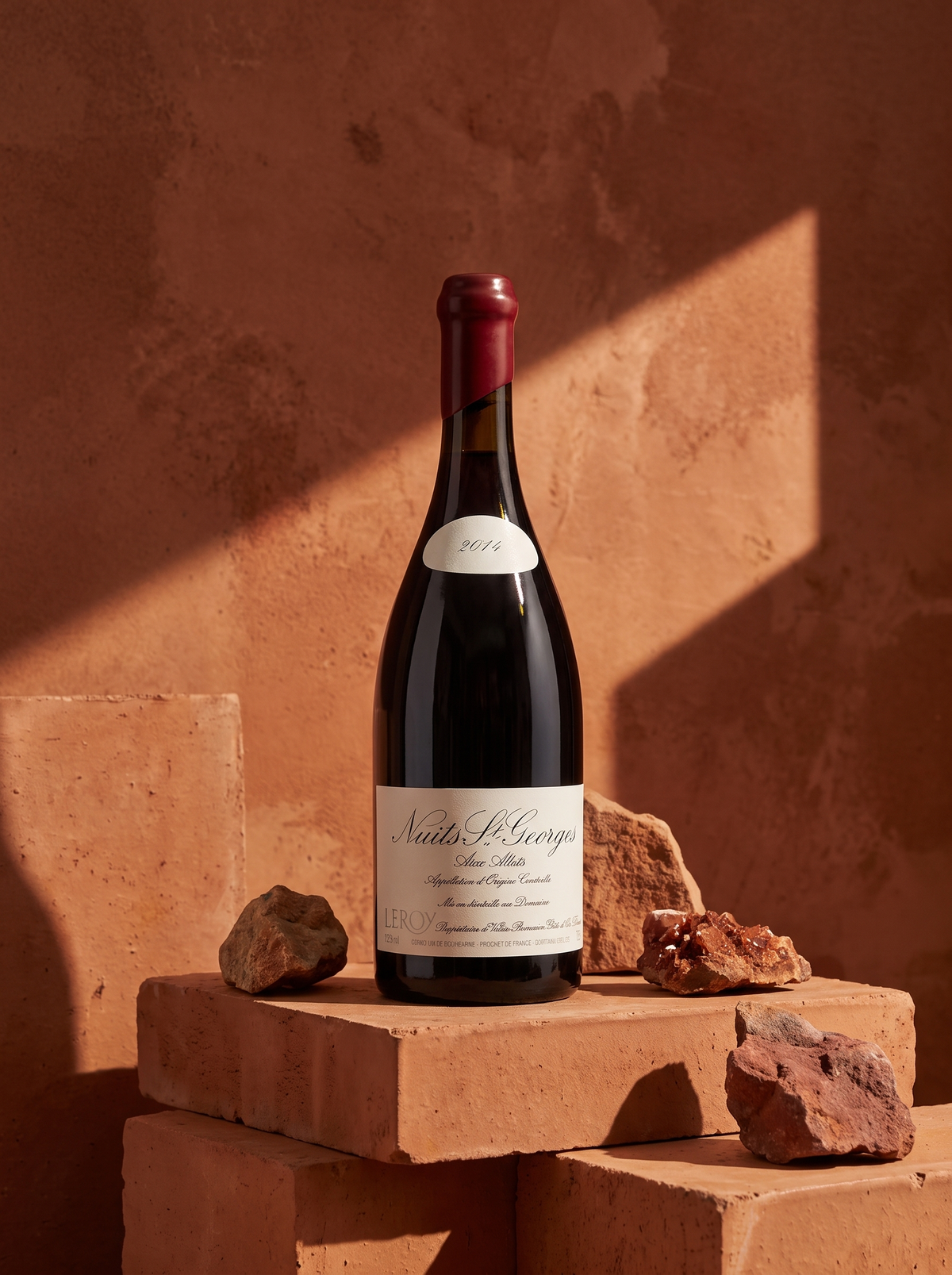 Leroy Nuits-Saint- Georges Aux Allots 2014