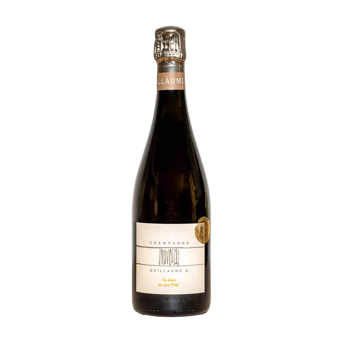 Guillaume Selosse Au Dessus du Gros Mont Guillaume Selosse